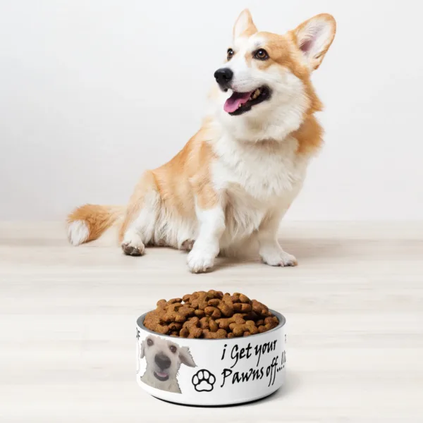 Plato Acero Inoxidable Doble Pared para Mascota
